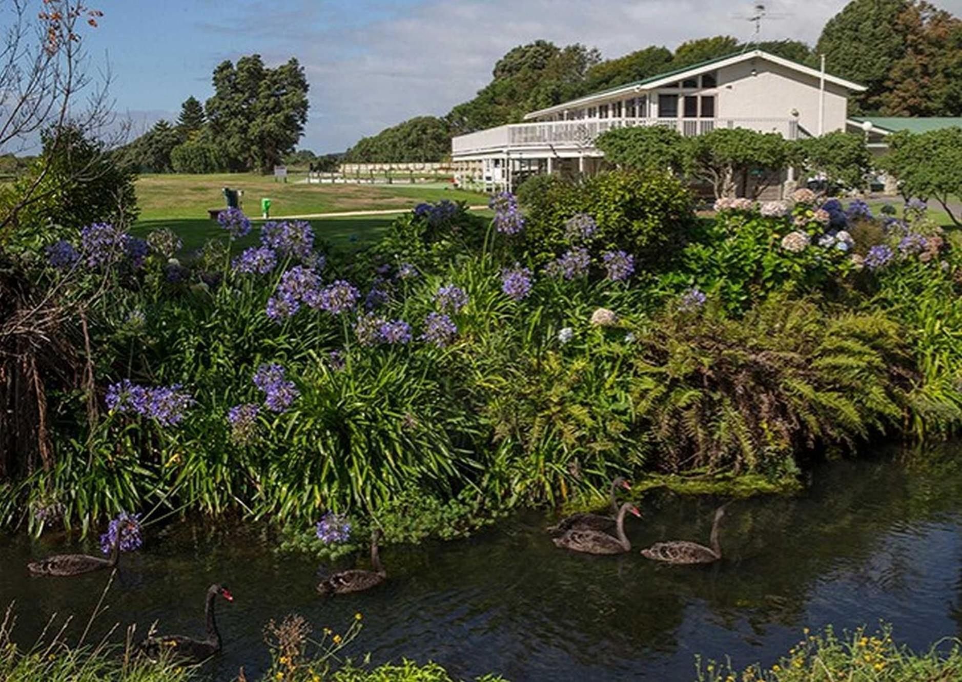 Waikanae Studio B&B Exterior photo